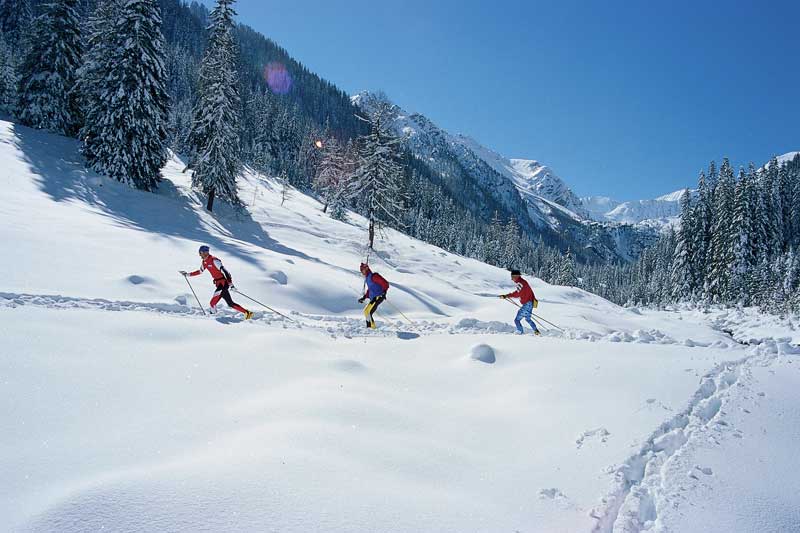 Lienz singles