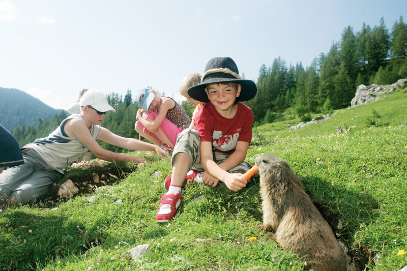 Single urlaub mit kind deutschland