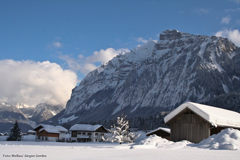 Single bregenzerwald