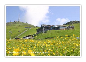 Panoramastraße Kitzbüheler Horn, Kitzbüheler Alpen, Tirol, Österreich