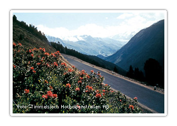 Timmelsjoch-Hochalpenstraße, Ötztal, Tirol, Österreich