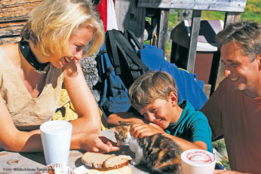 Familien-Wochenendurlaub in der Wildschönau