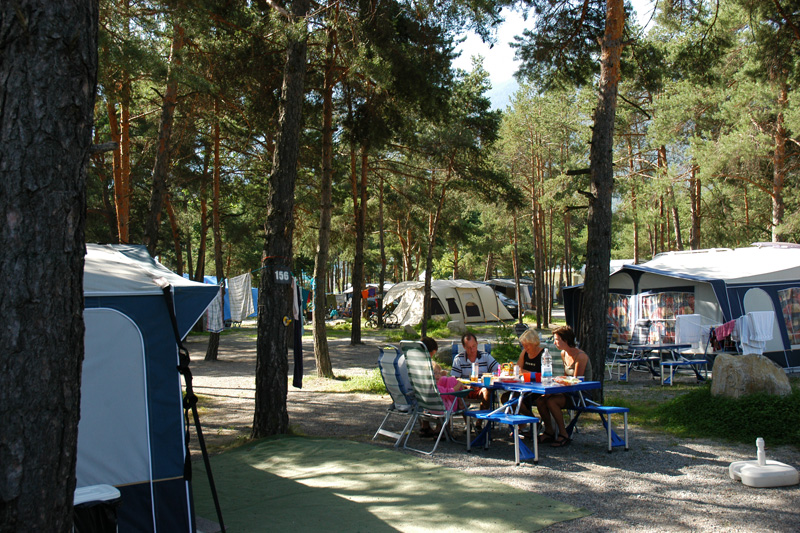 Campingurlaub auf dem Campingplatz Kiefernhain