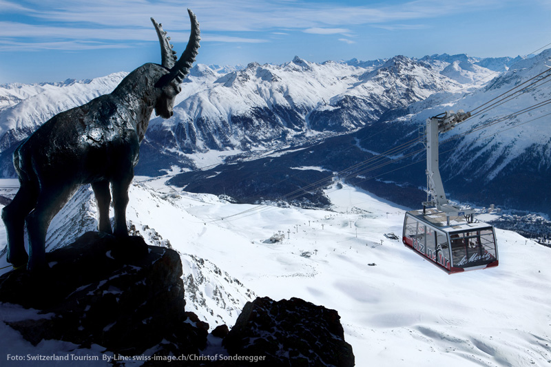 Winterurlaub in der Ferienregion Engadin - St. Moritz