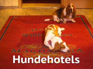 Hundehotels