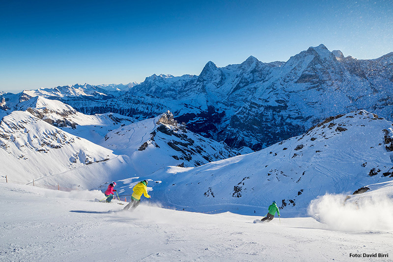 M rren Schilthorn Alpenjoy de