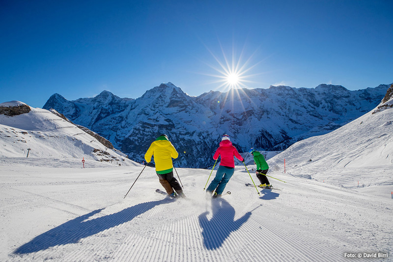 Skifahren am Schilthorn in der Jungfrauregion
