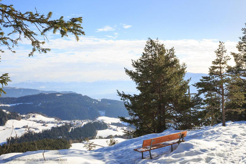 Verschneite Lärchenwälder von Hafling im Meraner Land in Südtirol