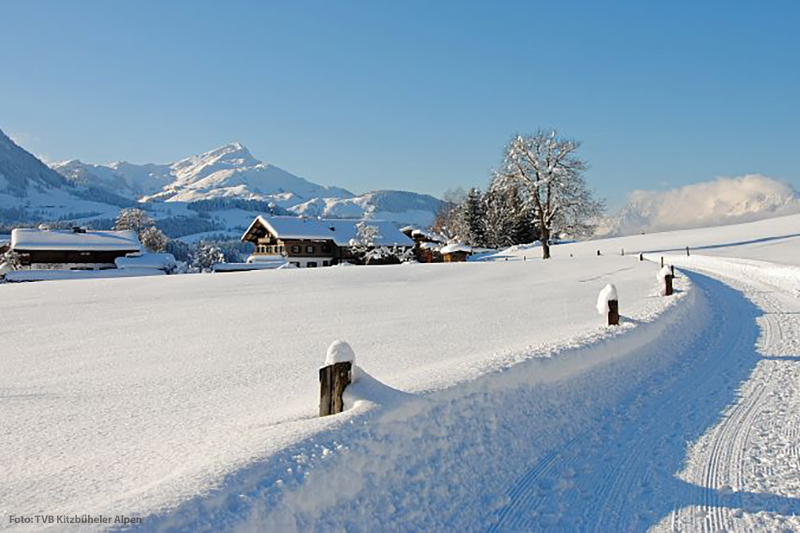 Winter im PillerseeTal