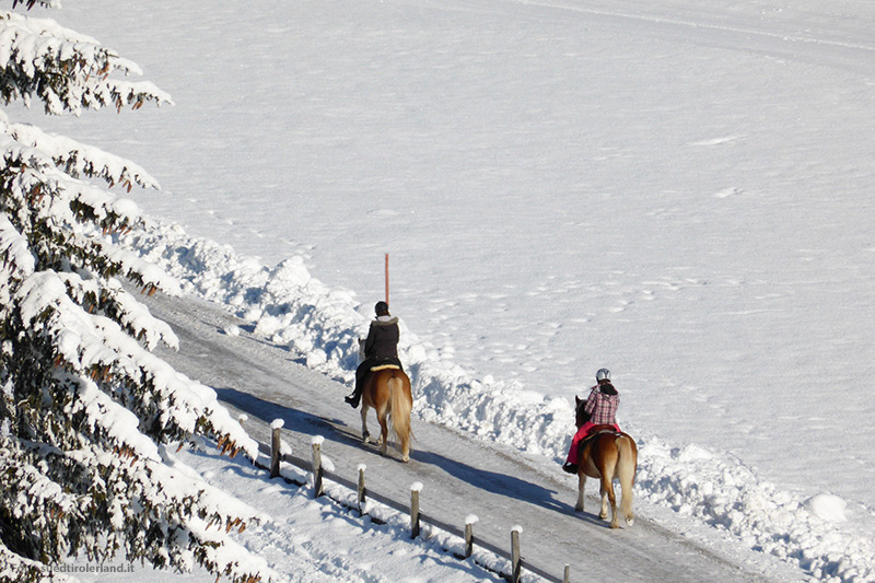 Auch im Winter kannst Du in Südtirol gut Reiten, z.B. in Villanders