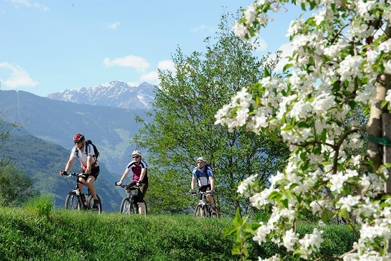 Mountainbikeverleih und E-Bike-Verleih mit Routenvorschlägen vom Hotel Stroblhof Dorf Tirol
