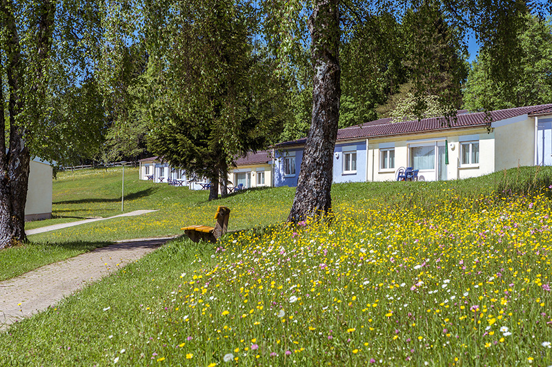 Bungalows im Ferienclub Maierhöfen