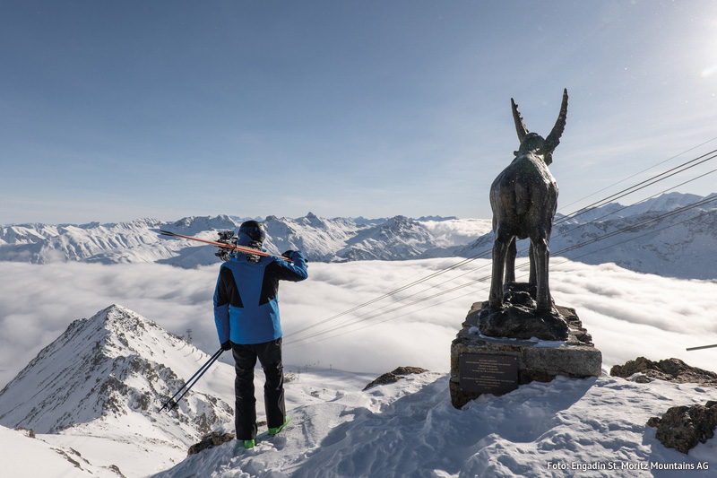 Skigebiet Corviglia in Engadin St. Moritz