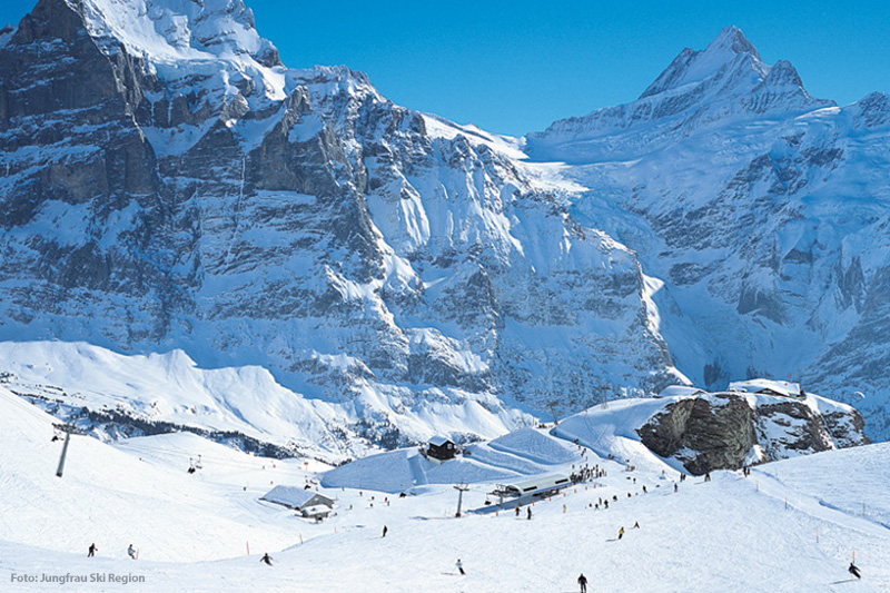 Skipiste Grindelwald First