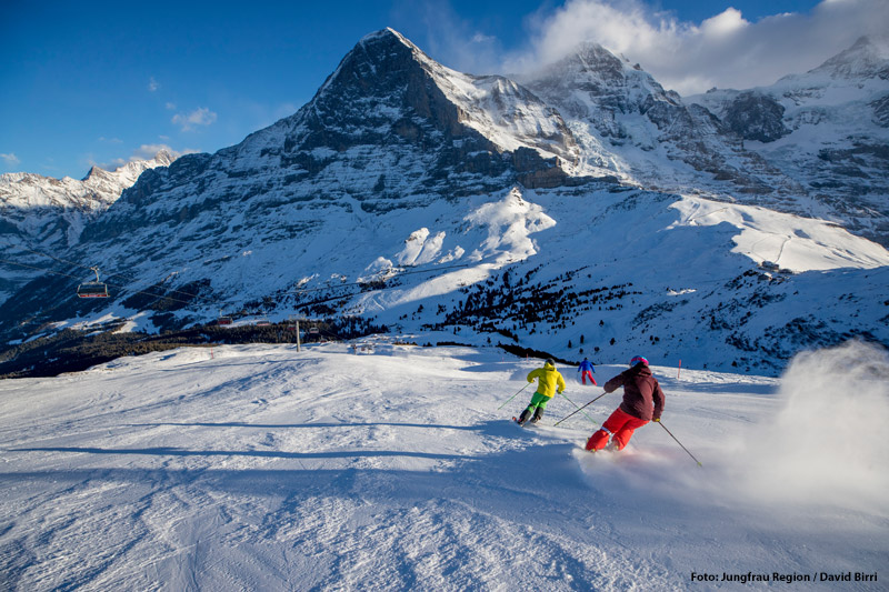 Skiurlaub im Skigebiet Grindelwald-Wengen