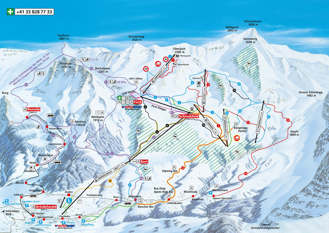 Grindelwald First Alpenjoy de Grindelwald First Alpenjoy de