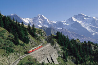 Schynige-Platte-Bahn auf dem Weg zur Schynige Platte 2100 m im Berner Oberland