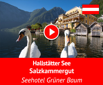 Das Seehotel Grüner Baum Superior am Hallstätter See im österreichischen Salzkammergut ist „Hallstatt pur“! Den absoluten Genuss in der UNESCO-Welterbe-Region Dachstein-Tauern erlebst Du am Seeufer und Marktplatz von Hallstatt. Verbringe auch Du einen unbeschwerten Aufenthalt in Toplage zwischen dem historischen Zentrum und dem Ufer des Hallstättersees!