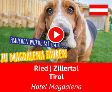 Das Zillertaler Wellnesshotel & Hunderesort – das Hotel Magdalena – ist DAS Hundehotel in Österreich. In Sonnenlage in Ried im Zillertal in Tirol, umgeben von Wiesen, steht das romantische Landhaus, edel im Stil, und verwöhnt seine Gäste. Hunde wohnen hier übrigens kostenlos!