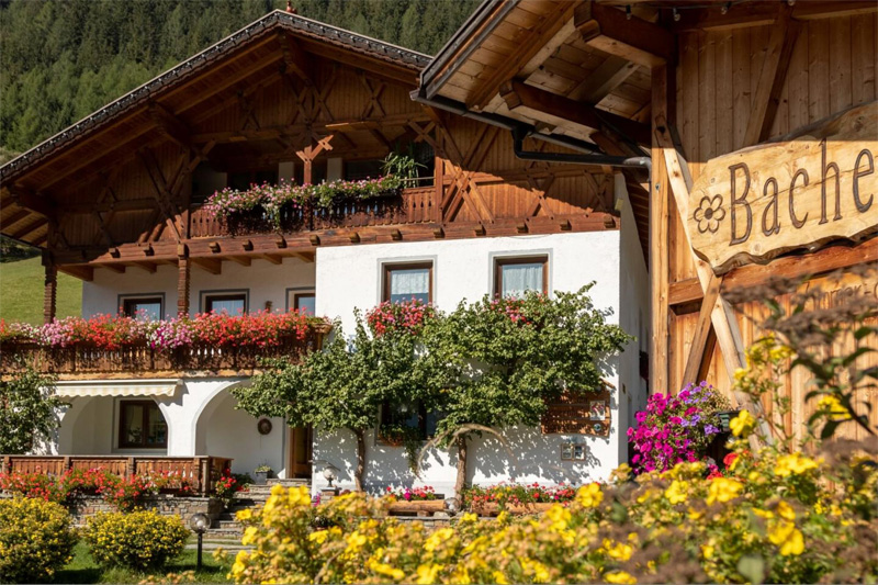 Eine Woche Urlaub auf dem Bacherhof