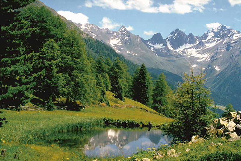 Kaunertaler Bergsommer
