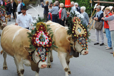 Kulturelles Leben und Tradition im Zillertal