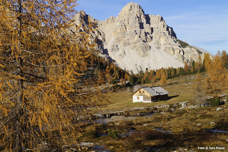Herbsturlaub am Kronplatz - hier erlebst Du die Dolomiten Herbst-Pracht