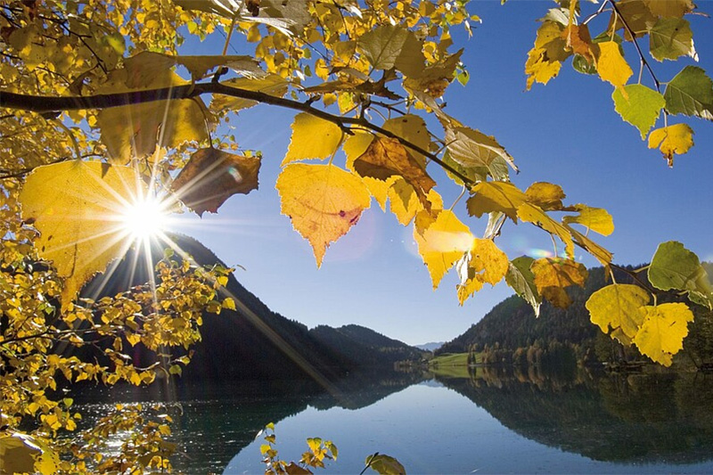 Farbenfroher Kaiserherbst in Tirol