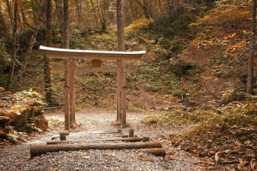 Zwischen Weg und Ziel: Ein Torii-Tor als stiller Teil der Landschaft