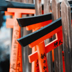 Die charakteristischen Torii-Tore sind ein zentrales Element der japanischen Schreinarchitektur
