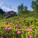 Wandern in traumhafter Natur