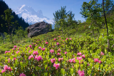 Wandern in traumhafter Natur