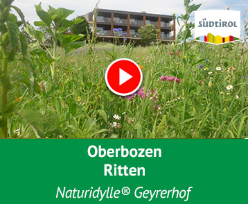 Eine Oase der Ruhe in Südtirol für Naturliebhaber und Genießer zugleich!Aus einem alten Südtiroler Bauernhof entwachsen, ist der Geyrerhof hochoben auf dem Ritten im Laufe der Zeit zu einem der führenden, rustikalen und urgemütlichen Hotel- und Gastronomiebetriebe umgestaltet worden. Der Geyrerhof bietet den Service eines gehobenen Sterne-Hotels u.a. mit Pool, Sauna, Tennis, Fitness, Bauernrestaurant und Südtiroler Weinkultur. Mehr Info auf YouTube!